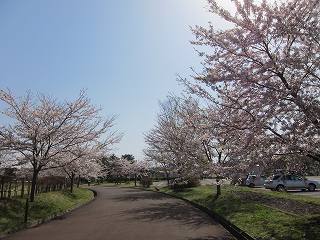 20120428-002.jpg
