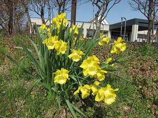 20120428-004.jpg