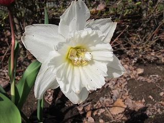 20120428-008.jpg
