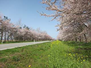 20120428-013.jpg