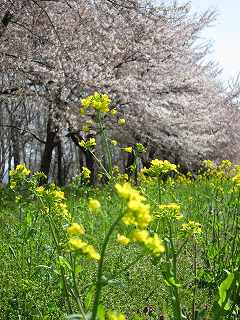 20120428-019.jpg