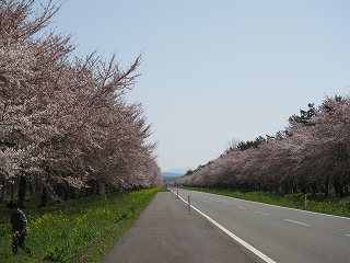 20120428-017.jpg