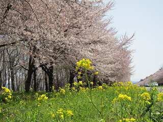 20120428-020.jpg