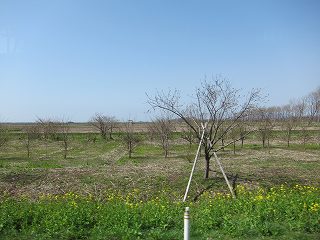 20120428-026.jpg