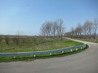 20120428-025.jpg