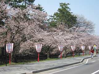 20120428-058.jpg