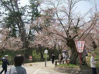 20120428-033.jpg