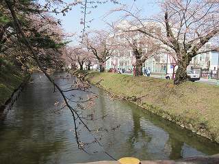 20120428-057.jpg