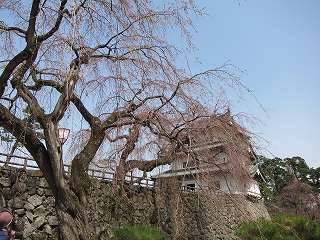 20120428-037.jpg