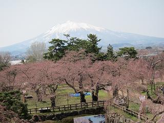 20120428-042.jpg