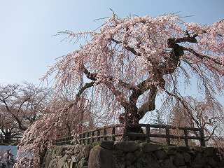 20120428-044.jpg