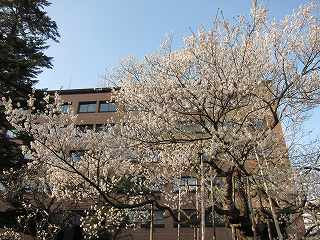 20120428-062.jpg