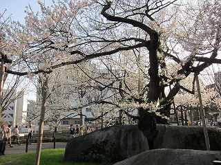 20120428-065.jpg