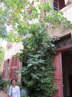 20120923-061.jpg