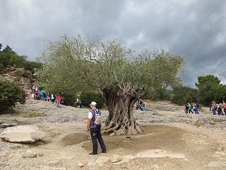 20120924-053.jpg