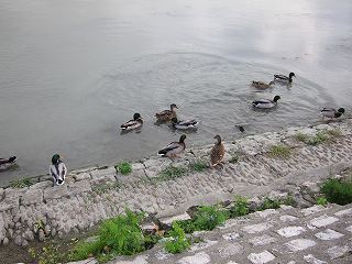 20120925-024.jpg