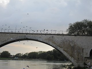 20120925-027.jpg