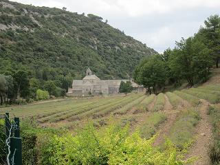 20120925-047.jpg