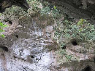 20130125-015.jpg