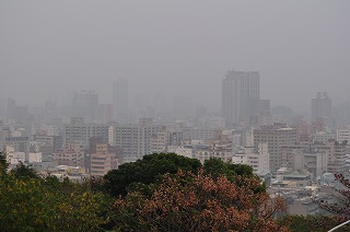 20130125-050.jpg