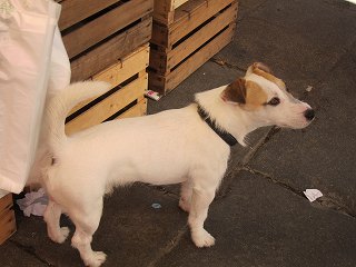 20130730-103.jpg