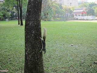 20131222-005.jpg