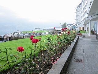 20140913-009.jpg
