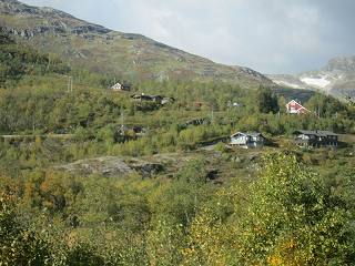 20140913-029.jpg