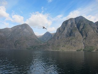20140913-072.jpg