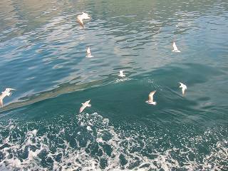 20140913-071.jpg