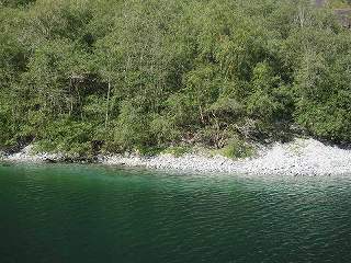 20140913-081.jpg