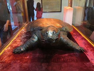 20141122-068.jpg