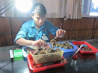 20141123-051.jpg
