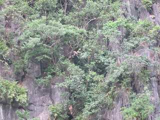 20141124-021.jpg
