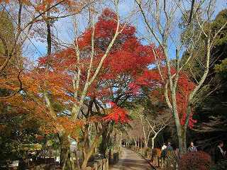 20141208-012.jpg