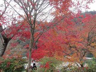 20141208-037.jpg