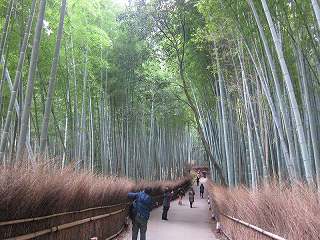 20141208-044.jpg