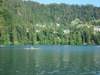 20150711-029.jpg