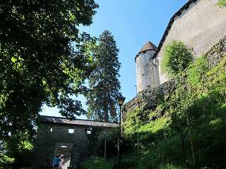20150711-046.jpg