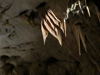 20150711-083.jpg