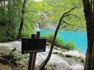 20150713-046.jpg