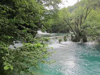 20150713-053.jpg