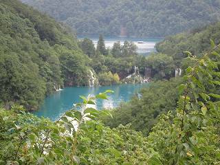 20150713-085.jpg