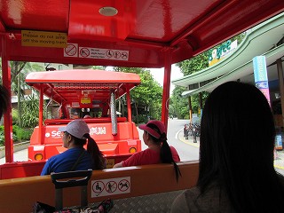 20151121-038.jpg
