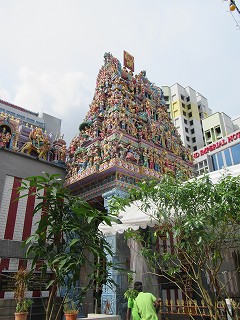 20151121-078.jpg