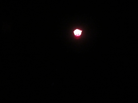 20160618-049.jpg