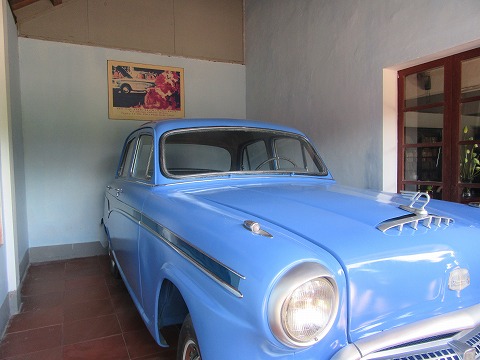 20160619-036.jpg