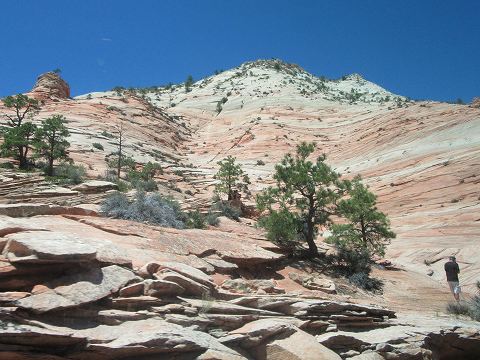 20170528-048.jpg