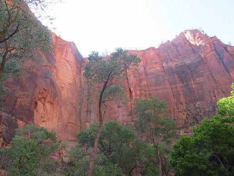 20170528-070.jpg