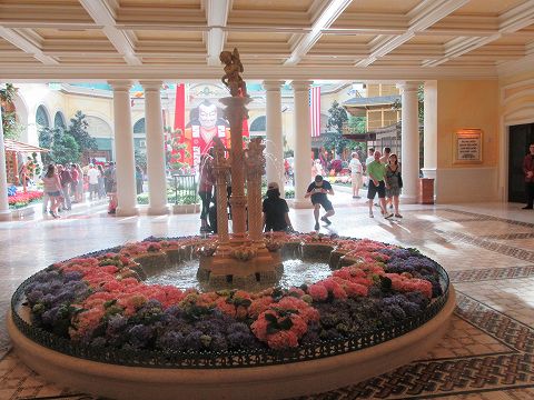 20170529-040.jpg